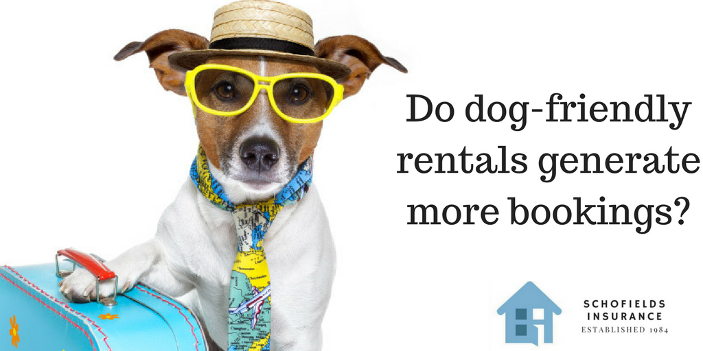 dog friendly holiday rentals